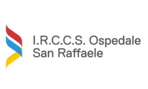 IRCCS Ospedale San Raffaele
